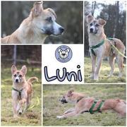 Luni in Tostedt