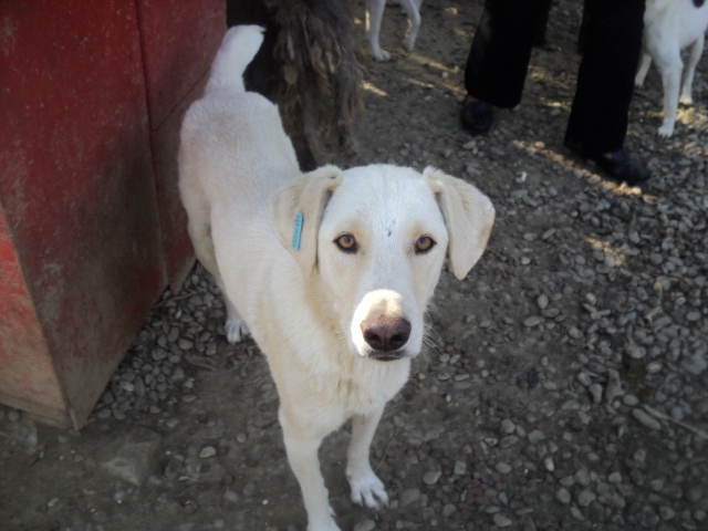 Casper -reserviert-