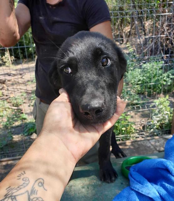 NAEL - vor Ort adoptiert 30.10.2019