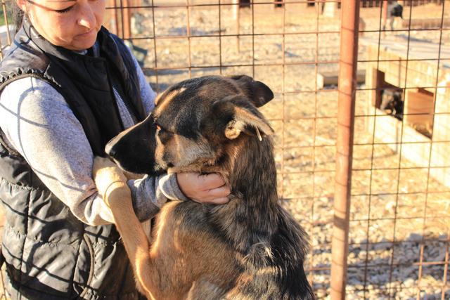 DODOO - reserviert Tiere in Not Odenwald