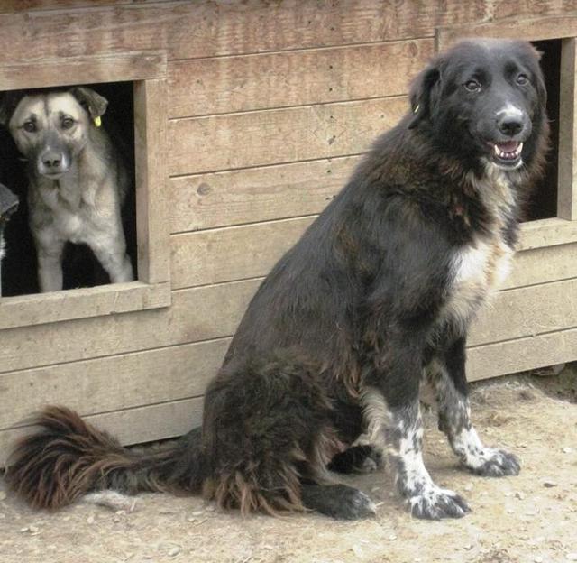 CORA (Elena) - reserviert für M.