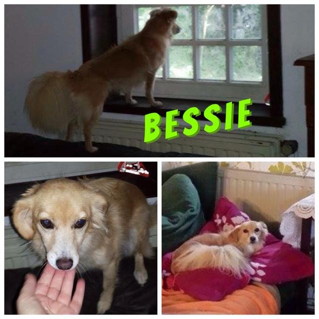 BESSIE