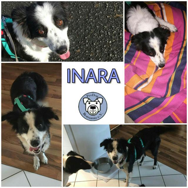 Inara in 57299 Burbach