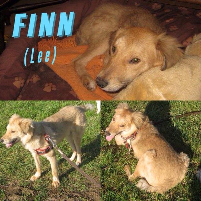 FINN(Lee)  in Fürth