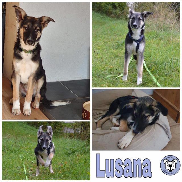 Lusana in 72818 Trochtelfingen ist reserviert