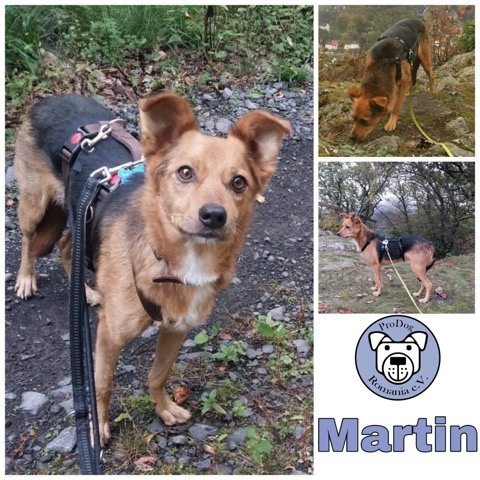 Martin in 56130 Bad Ems reserviert