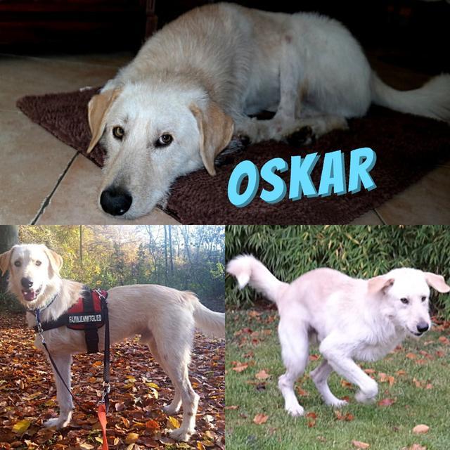 OSKAR in Kaarst