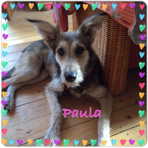 PAULA - in Hürtgenwald