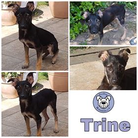 Trine (Kiri) - in 50226 Frechen