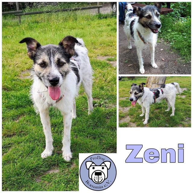 Zeni in 45768 Marl -- reserviert