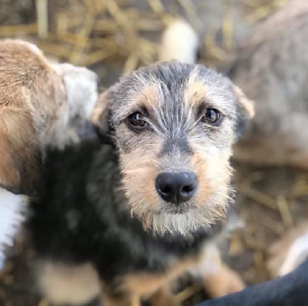 MISSY - reserviert TH Koblenz