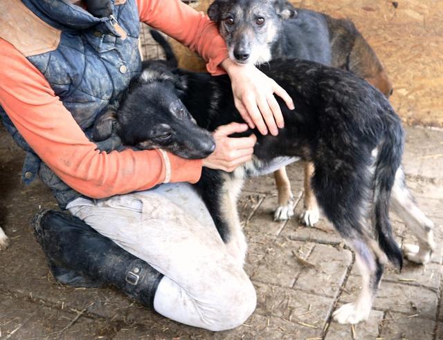 KANA - reserviert Tierhilfe Lebenswert e.V. (MP)