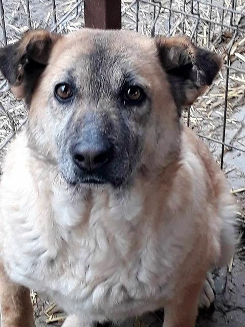 CASSIE - ca. 35 - reserviert Th Ahrweiler