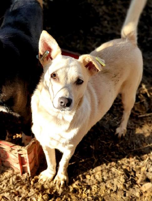 BISOU -reserviert TH Limburg