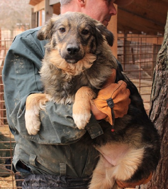 PATJA - reserviert Tierheim Filderstadt