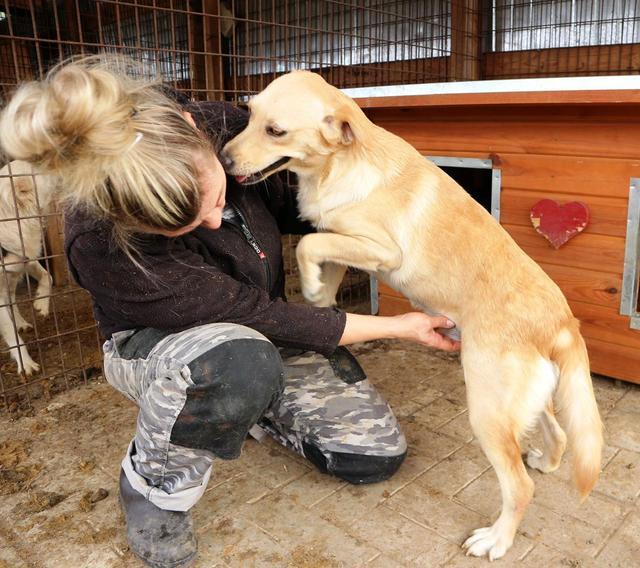 BLUMA - reserviert Tierhilfe Lebenswert e.V. (MP)