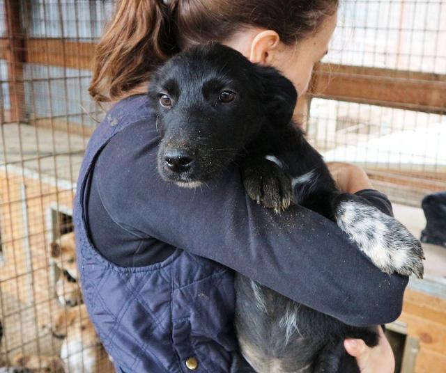 ALINA - reserviert Tierhilfe Lebenswert e.V. (MP)