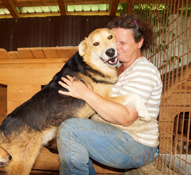 SCHIMANSKI (BARNEY) - reserviert Tierhilfe Lebenswert e.V. (MP)