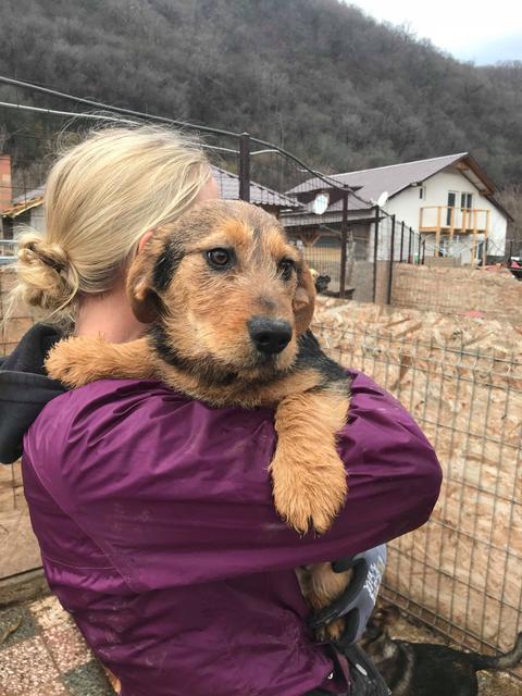 DANS reserviert Tierheim Koblenz