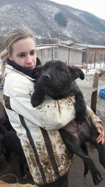 NURI - reserviert Tierheim Rüsselsheim