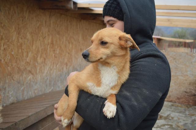 NALA - reserviert Tierheim Tuttlingen