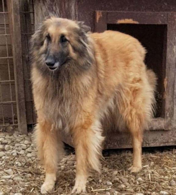 METTE - reserviert Tierfreunde Filderstadt