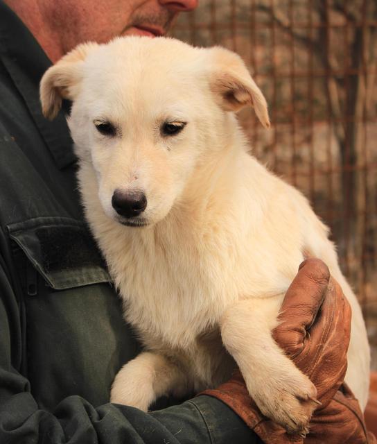 SMILA - reserviert Tiere brauchen Freunde