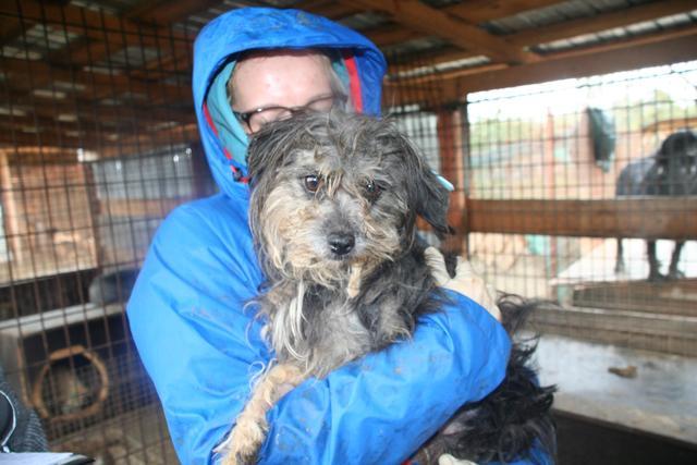 PÜPPIE - reserviert Menschen für Tiere Landau (G)