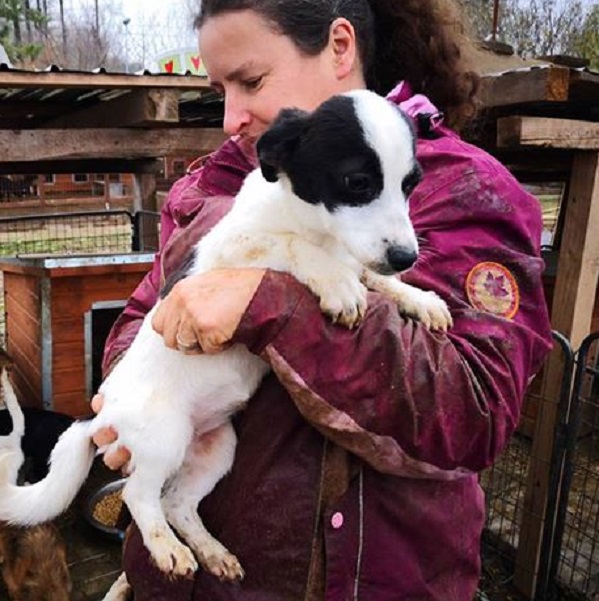 MALOU - reserviert Tierhilfe Lebenswert e.V. (MP)