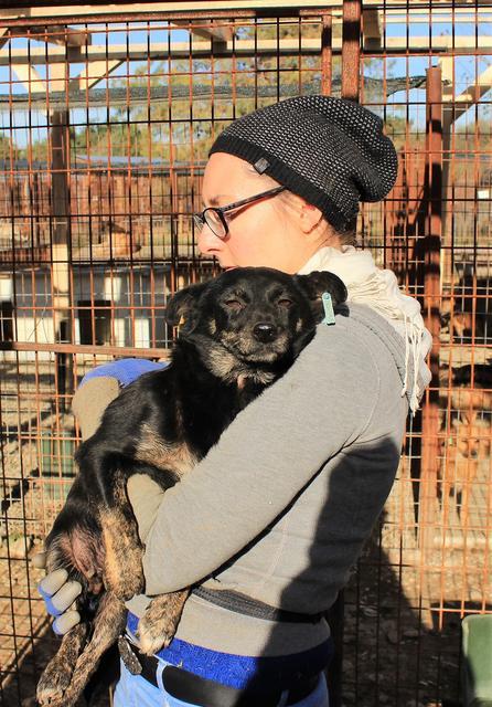 CARMELITA - reserviert Hamburger Tierschutzverein