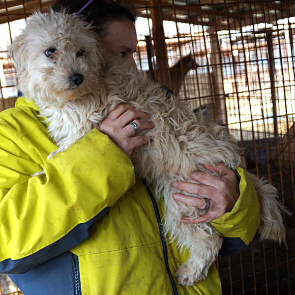 ZOLA - reserviert Menschen für Tiere Landau (G)