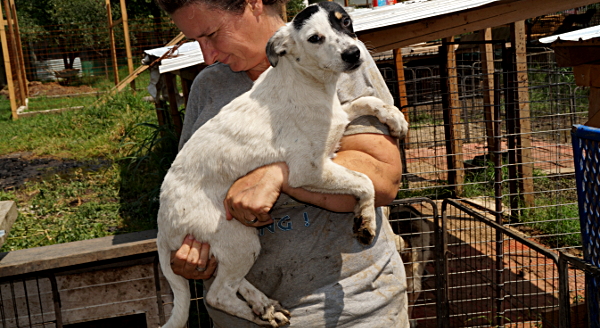 JAMIEL (MUCKI) - reserviert Tierhilfe Lebenswert e.V. (MP)