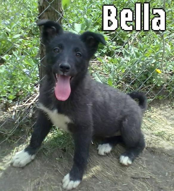 BELLA - reserviert TH Lingen