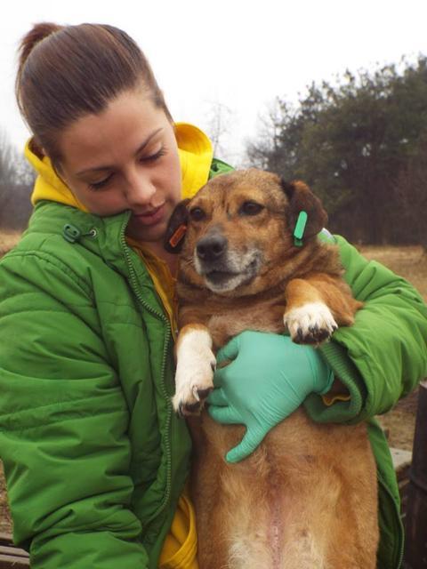 LALA - reserviert Tierheim Koblenz