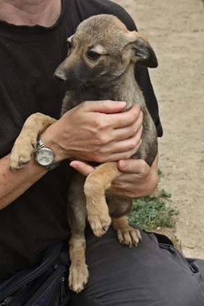 FRODO - reserviert TH Darmstadt