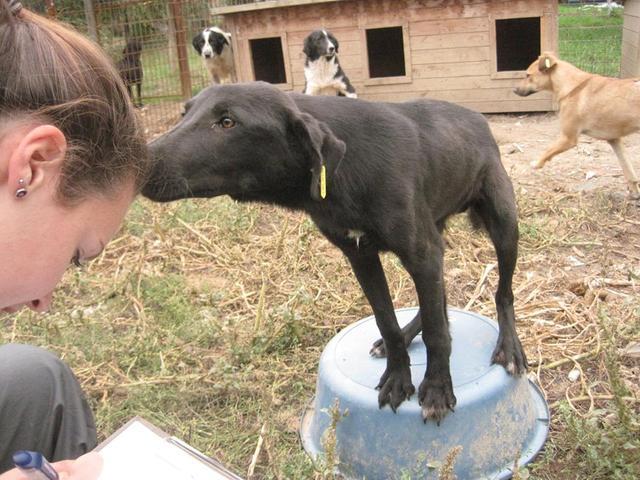 JAMES - reserviert Tiere brauchen Freunde