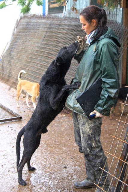 SIRIUS - reserviert Tierheim am See