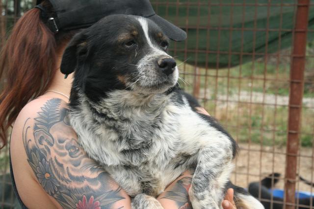 JIMMY - reserviert Tierhilfe Lebenswert e.V. (Marika)