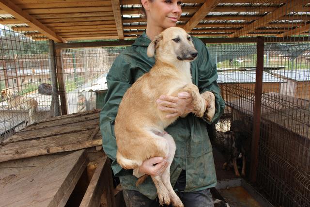 STROLCHI - reserviert ProVitaAnimale