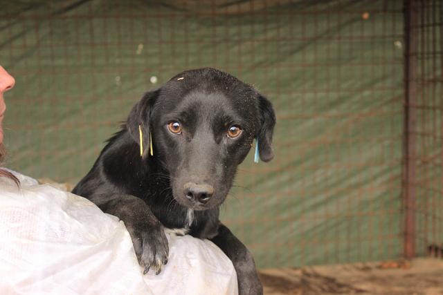 THAMBI - reserviert Tiere brauchen Freunde