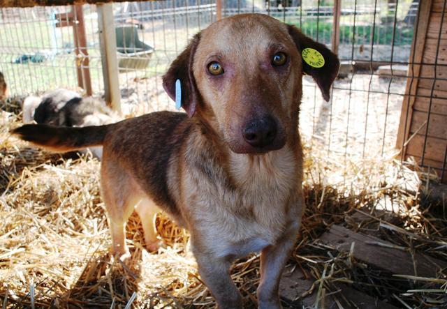 MARTINLIE - reserviert Tiere brauchen Freunde