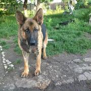 Leo -reserviert-