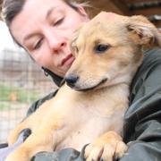 LORETTA* - reserviert Tierheim Rüsselsheim