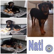 Nati in 52146 Würselen *reserviert*