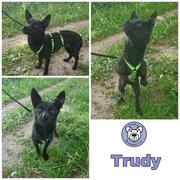 TRUDY  in Ribnitz Damgarten  reserviert