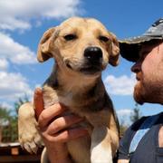 BRAZIL - reserviert Tierheim Ahrweiler