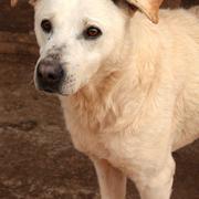 KNAUTSCH - reserviert Tiere brauchen Freunde e.V.