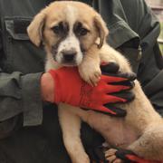 TOBI - reserviert TH Koblenz