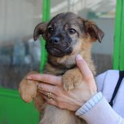 VALENTINA* - reserviert Tierheim Neuwied