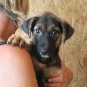 ZWERG reserviert Tierheim Koblenz